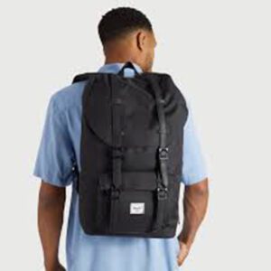 Herschel Backpack, Little America